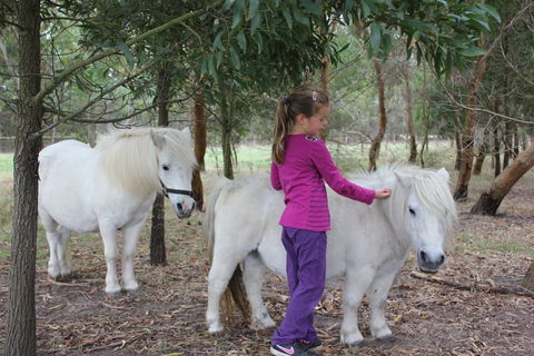 Rain Hayne And Shine Farmyard - Accommodation Resorts 2