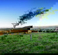 Ravensbourne - Accommodation Resorts