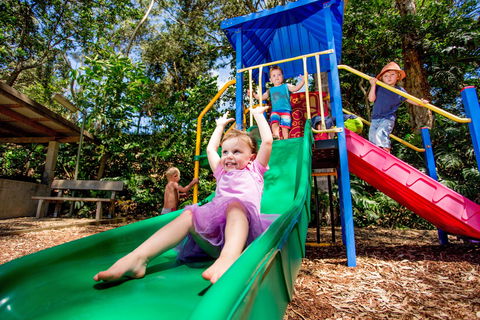 Reflections Boambee Creek Reserve - Accommodation Resorts 1