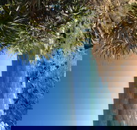 Richmond Valley Cultural Heritage Self Drive Tour - Accommodation Resorts