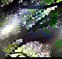 Scarborough Beach Park - Accommodation Resorts