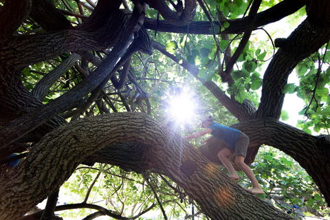 Scarborough Beach Park - Accommodation Resorts 0