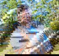 Serpentarium Wildlife Park Tasmania - Accommodation Resorts