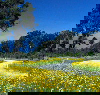 Shearer's Way - Accommodation Resorts