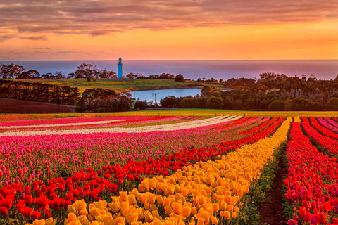 Table Cape - Accommodation Resorts 0