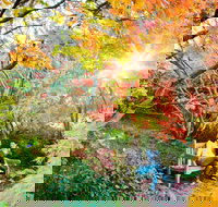 The Blue Mountains Botanic Garden Mount Tomah - Accommodation Resorts