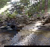 Threlfall Walking Track - Accommodation Resorts