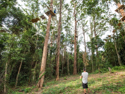 TreeTop Challenge - Sunshine Coast - Accommodation Resorts 1