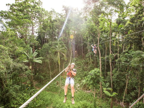TreeTop Challenge - Sunshine Coast - Accommodation Resorts 2