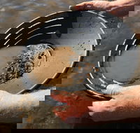 Tuena Panning for Gold - Accommodation Resorts