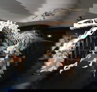 UNE Natural History Museum - Accommodation Resorts