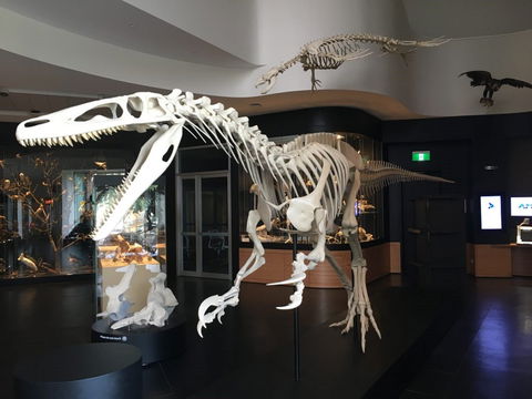 UNE Natural History Museum - Accommodation Resorts 0