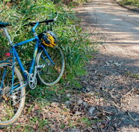 Walter Hood ride from Cudmirrah - Accommodation Resorts