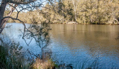 Wandandian Creek Picnic Area - Accommodation Resorts 0