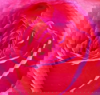 Abandon Stress Mobile Massage - Accommodation Resorts