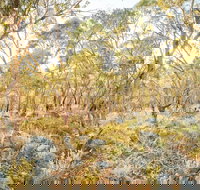 Alpine Views Walk - Accommodation Resorts