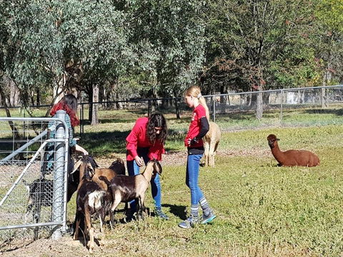 Animal Farm Visit - Accommodation Resorts 1