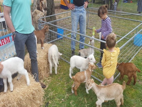 Animal Farm Visit - Accommodation Resorts 2