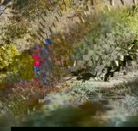 Australian Arid Lands Botanic Garden - Accommodation Resorts