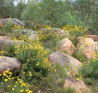 Ben Hall's Cave Walking Track - Accommodation Resorts