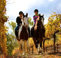 Billabong Ranch Adventure Park - Accommodation Resorts