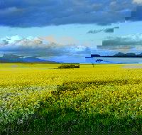 Borden - Accommodation Resorts