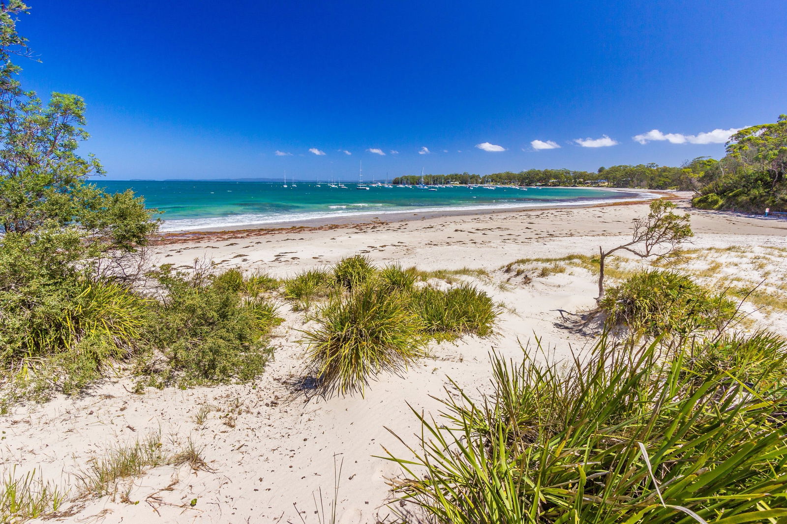 Callala Bay NSW Accommodation Resorts