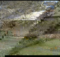 Castlemaine Diggings National Heritage Park - Accommodation Resorts