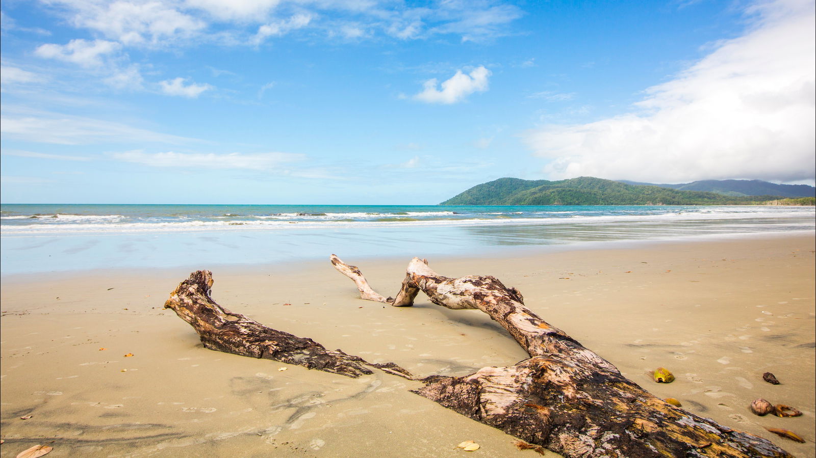 Cow Bay QLD Accommodation Resorts