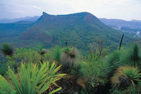Cunninghams Gap And Spicers Gap, Main Range National Park - Accommodation Resorts 1