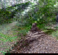 Double Wharf Trail - Accommodation Resorts