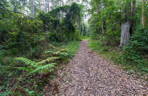 Double Wharf Trail - Accommodation Resorts 0