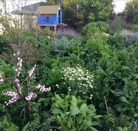 Down to Earth Permaculture - Accommodation Resorts