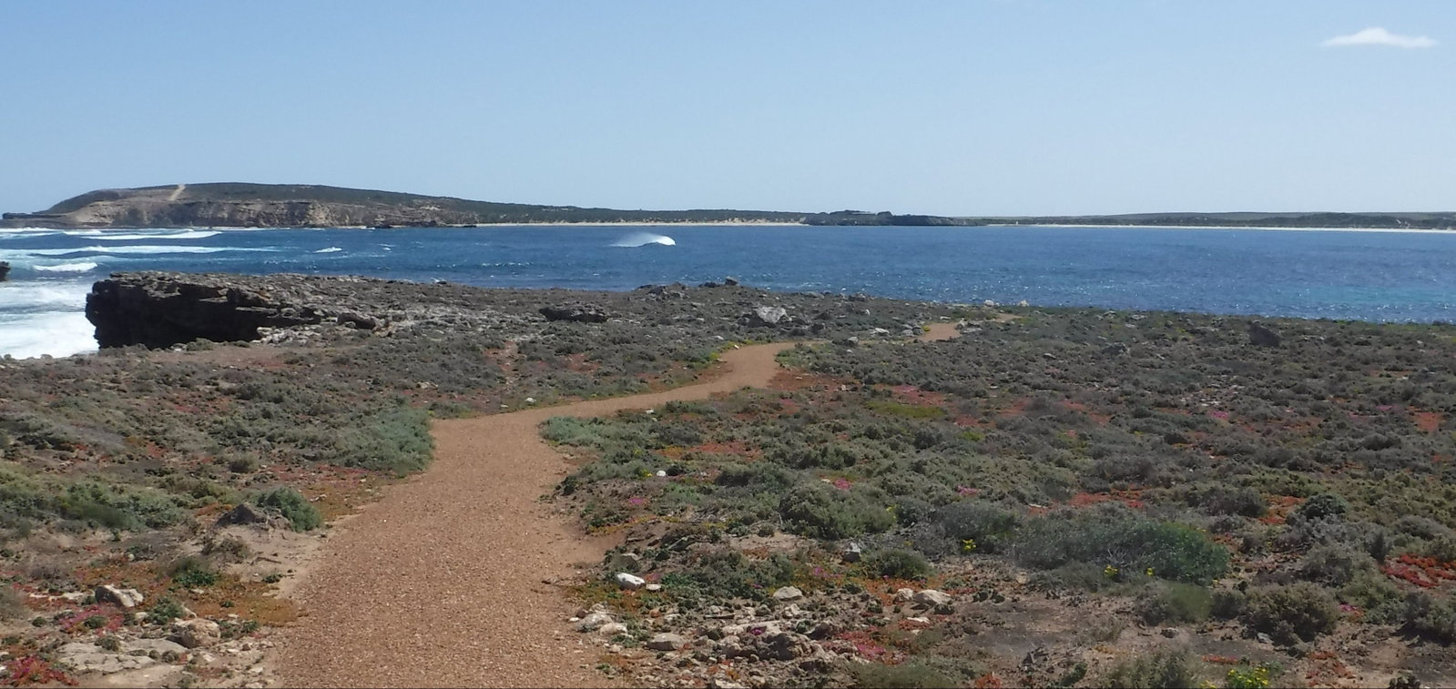 Elliston SA Accommodation Resorts