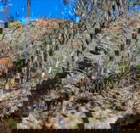 Eualdrie Walking Track - Accommodation Resorts