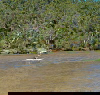 Fitzpatrick Park - Accommodation Resorts
