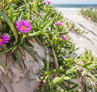 Fort Bribie - Accommodation Resorts