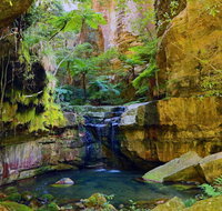 Glimpse of the Outback 5 Day Tour - Roma and Surrounds - Accommodation Resorts