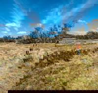 Goldseekers track - Accommodation Resorts