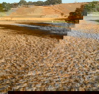 Gunning Golf Club - Accommodation Resorts