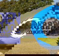 Hidden Rookwood Sculptures