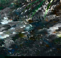 Howard Springs Nature Park - Accommodation Resorts