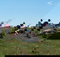 Jim Salmon  Wetland Education Site - Accommodation Resorts