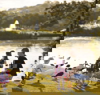 Lake Alford Recreational Park - Accommodation Resorts