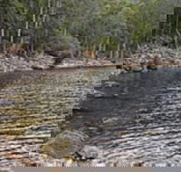 Lake Rowallan - Accommodation Resorts