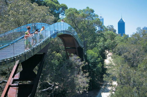 Law Walk - Kings Park - Accommodation Resorts 0