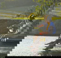 Lovedale - Accommodation Resorts