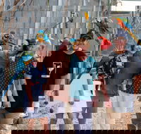 Maleny Botanic Gardens and Bird World - Accommodation Resorts