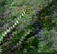 Mapleton Falls National Park - Accommodation Resorts