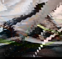 Marrawuddi Gallery - Accommodation Resorts